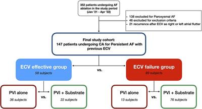 Maintenance of sinus rhythm after electrical cardioversion to identify patients with persistent atrial fibrillation who respond favorably to pulmonary vein isolation: the pre-pacific study